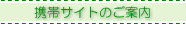 �A�C�E�G�I�������Ȉ�@�̌g�уT�C�g�̂��ē�