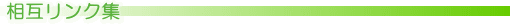 ���݃����N�W